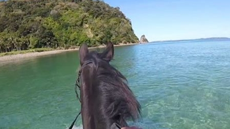 Horse ride